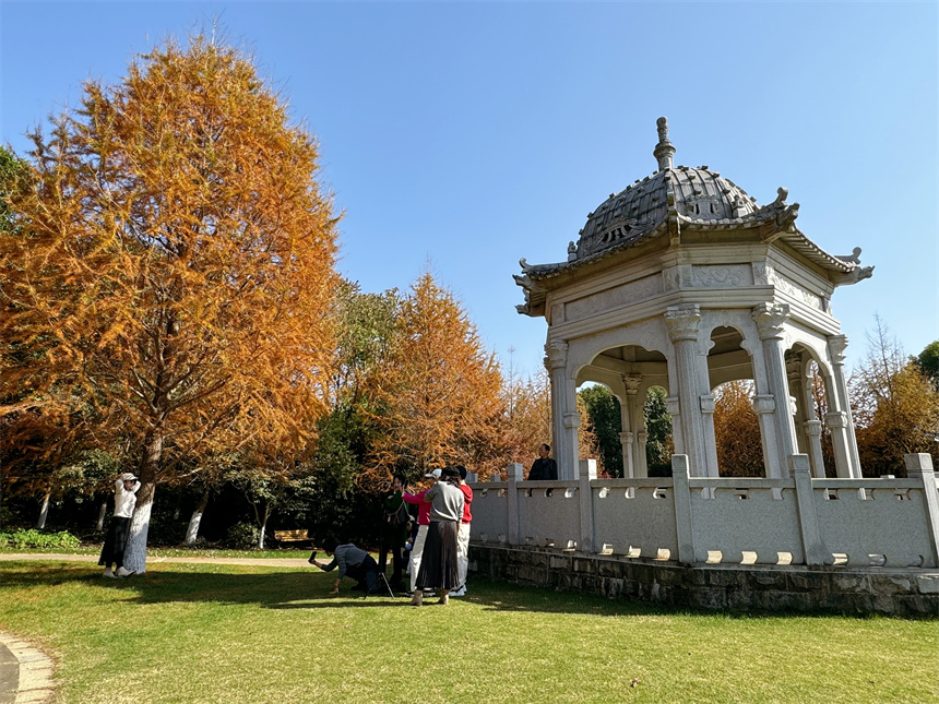 鳳凰溝迎來最佳觀賞期，吸引市民打卡拍照。人民網記者 羅娜攝