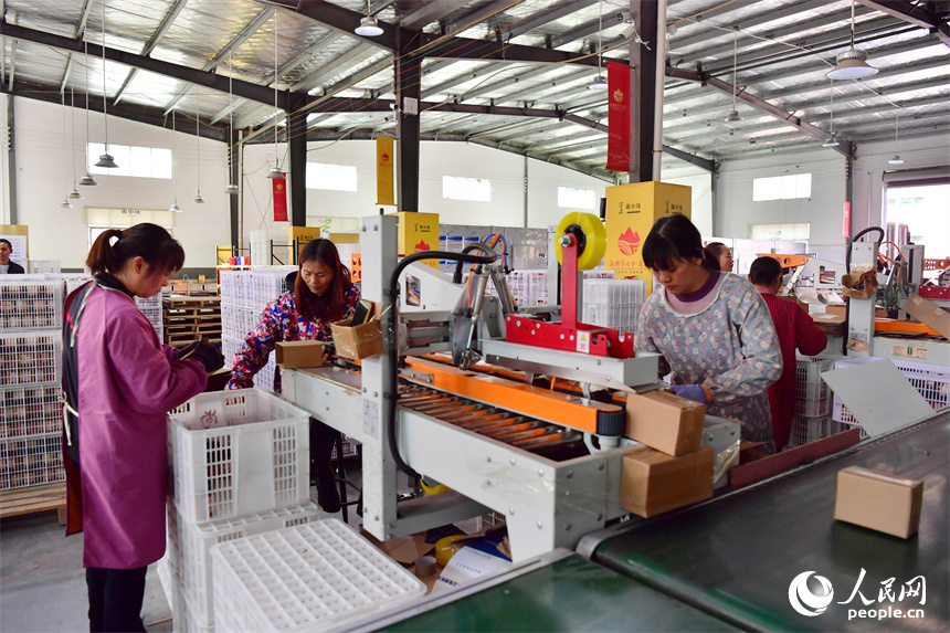 “蓮小花”的倉庫內，工人們正在將農產品裝箱打包。人民網記者 時雨攝