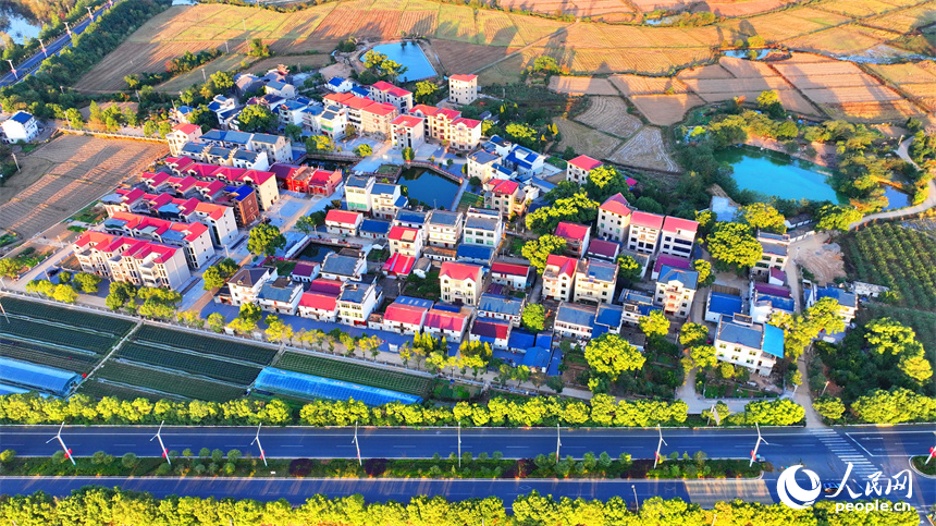 吉安市吉水縣文峰鎮低坪村公路暢、風景美。人民網 朱海鵬攝