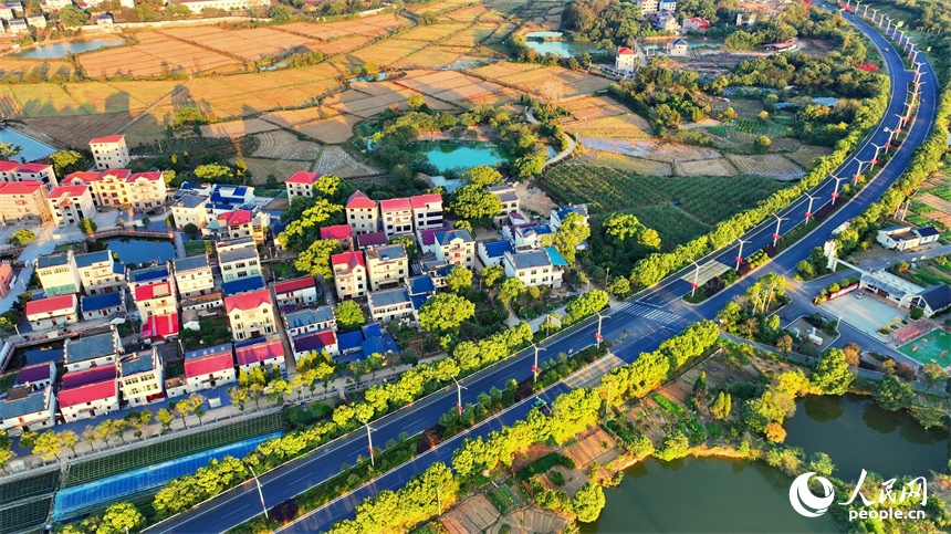 吉安市吉水縣文峰鎮低坪村公路暢、風景美。人民網 朱海鵬攝