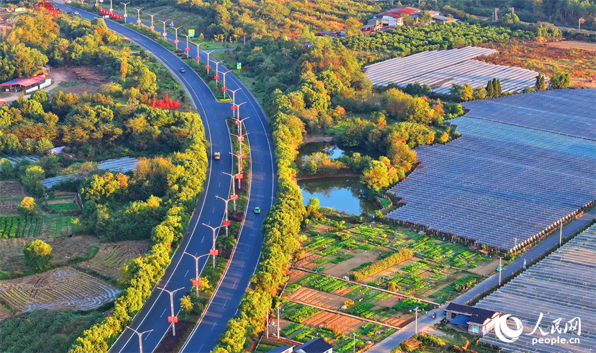 吉安市吉水縣文峰鎮低坪村公路暢、風景美。人民網 朱海鵬攝