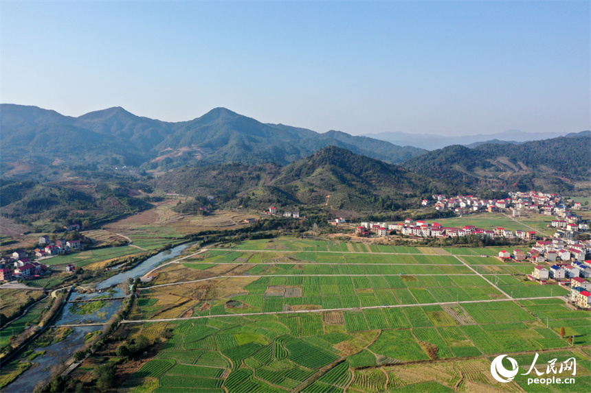 航拍鏡頭下的蓮花縣山村展現出了一幅靜謐而生動的冬日畫卷。人民網記者 時雨攝