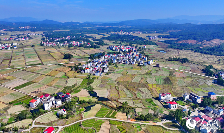吉安市永新縣龍源口鎮辛田村一帶，農村公路與錯落有致的耕地、農房交相輝映，構成一道獨特的冬日鄉村美景。人民網 朱海鵬攝