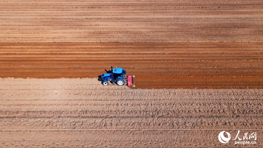 豐城市尚莊街道的一處蔬菜種植基地，農機手駕駛犁田機在耕整農田，種植露地蔬菜。人民網 朱海鵬攝