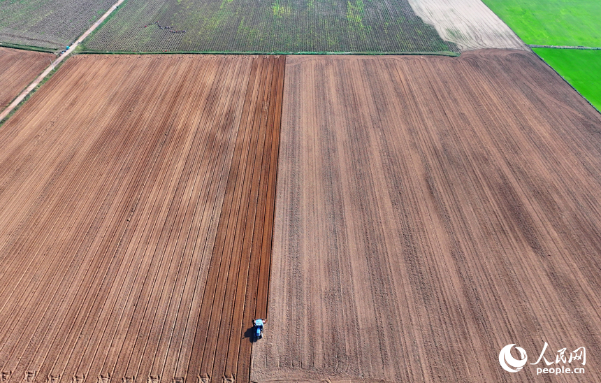 豐城市尚莊街道的一處蔬菜種植基地，農機手駕駛犁田機在耕整農田，種植露地蔬菜。人民網 朱海鵬攝