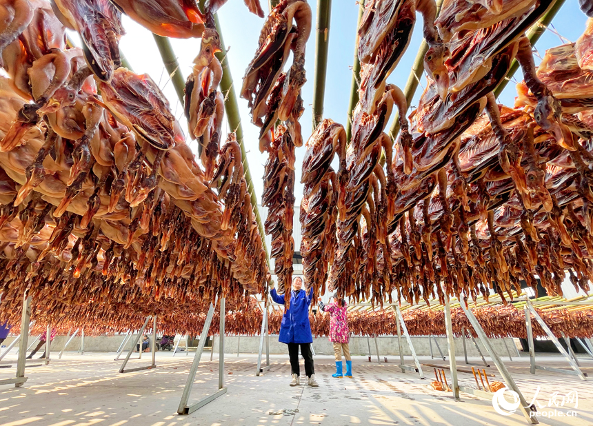 工人趁著晴好天氣加緊晾曬板鴨,供應市場。人民網記者 毛思遠攝