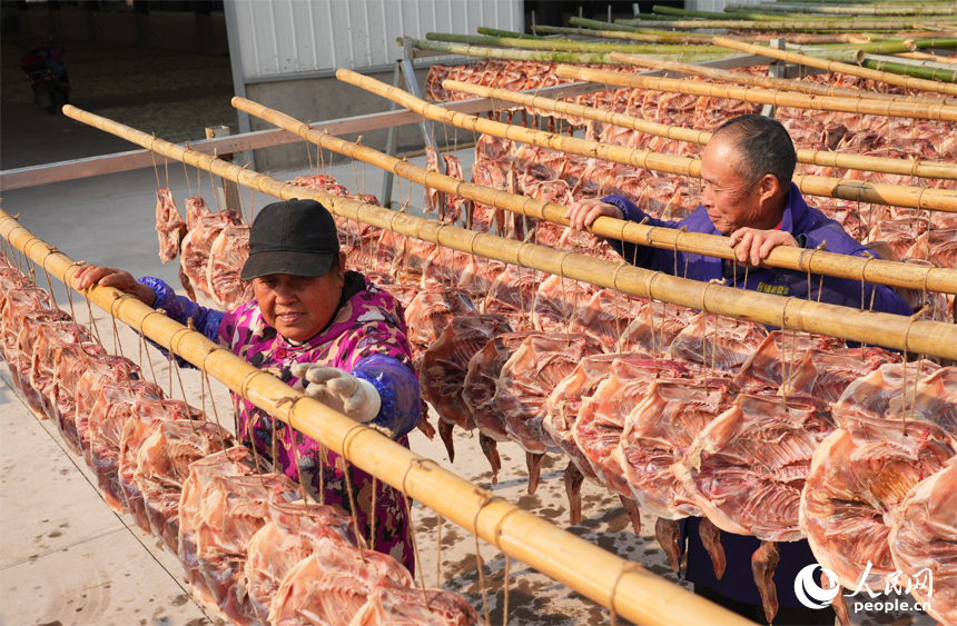 工人趁著晴好天氣加緊晾曬板鴨，供應市場。人民網記者 毛思遠攝