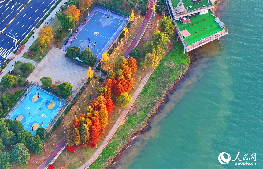吉安市吉水縣贛江沿岸的一處“口袋公園”，許多市民在打籃球，色彩斑斕的樹木與籃球場、健身步道、碧綠江水相映襯。人民網 朱海鵬攝