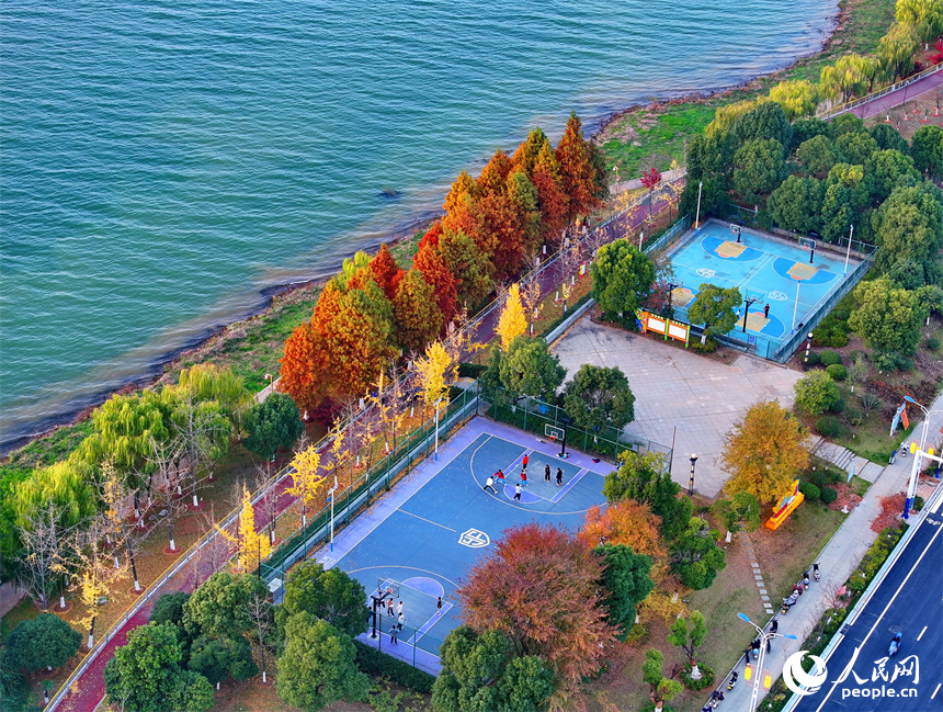 吉安市吉水縣贛江沿岸的一處“口袋公園”，許多市民在打籃球，色彩斑斕的樹木與籃球場、健身步道、碧綠江水相映襯。人民網 朱海鵬攝