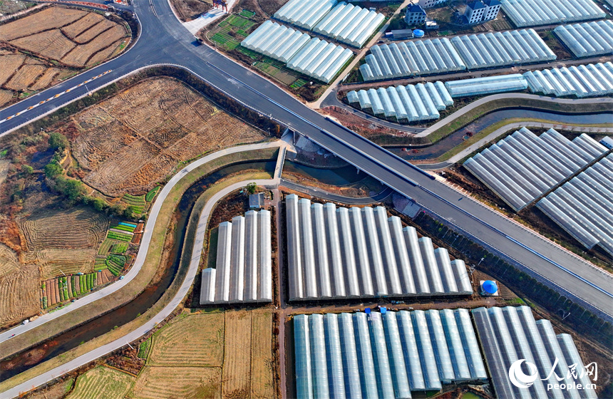 撫州市東鄉區孝崗鎮，縱橫交錯的公路與鱗次櫛比的大棚相得益彰。人民網 朱海鵬攝