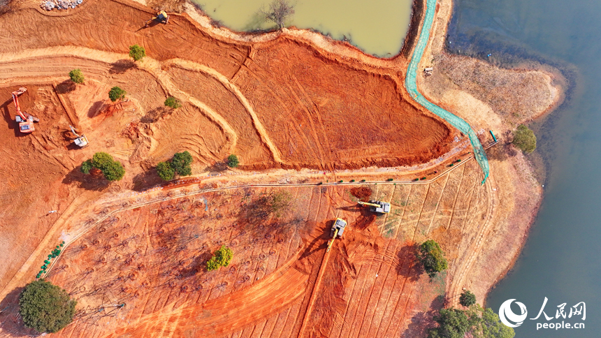 吉水縣贛江江灘，工人操作機械設備在進行表土剝離，為下一步種植草皮、樹木等綠化苗木做準備。人民網 朱海鵬攝