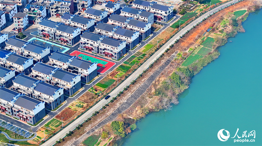 吉水縣金灘鎮贛江沿岸一帶，車輛往來穿梭，通村公路旁的農房鱗次櫛比，與綠樹、田壟、碧水相映成景。人民網 朱海鵬攝