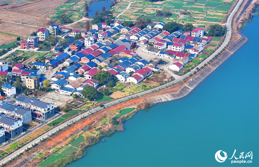 吉水縣金灘鎮贛江沿岸一帶，車輛往來穿梭，通村公路旁的農房鱗次櫛比，與綠樹、田壟、碧水相映成景。人民網 朱海鵬攝