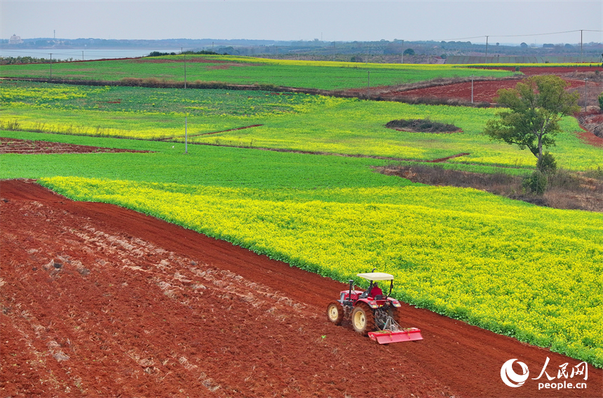 樟樹市義城鎮羅港村村民駕駛著農機在翻耕田地。人民網 朱海鵬攝