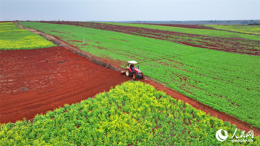 樟樹市義城鎮羅港村村民駕駛著農機在翻耕田地。人民網 朱海鵬攝