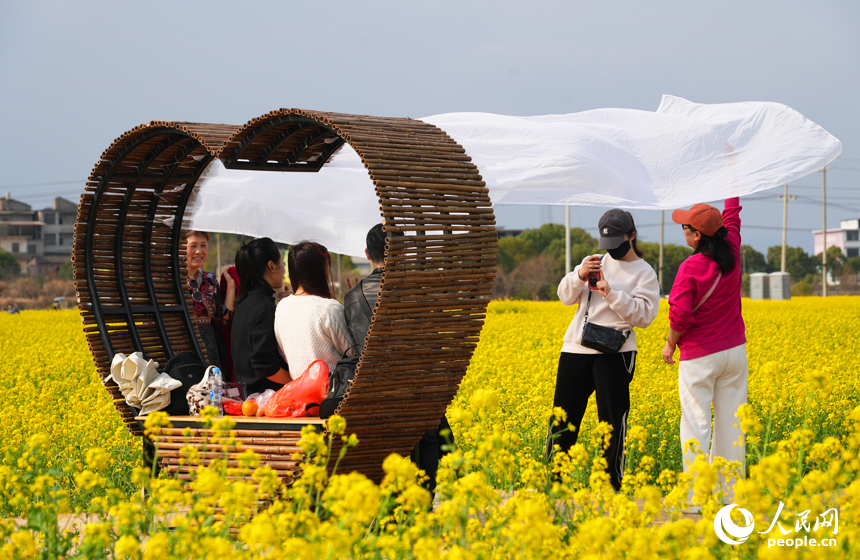 市民游客在油菜花海中感受春日的絢爛與美好。人民網記者 毛思遠攝