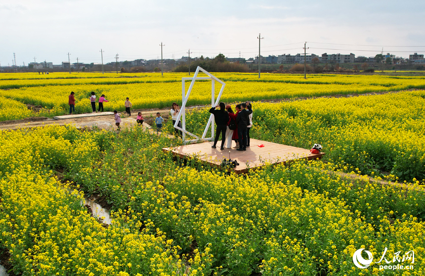 市民游客在油菜花海中感受春日的絢爛與美好。人民網記者 毛思遠攝