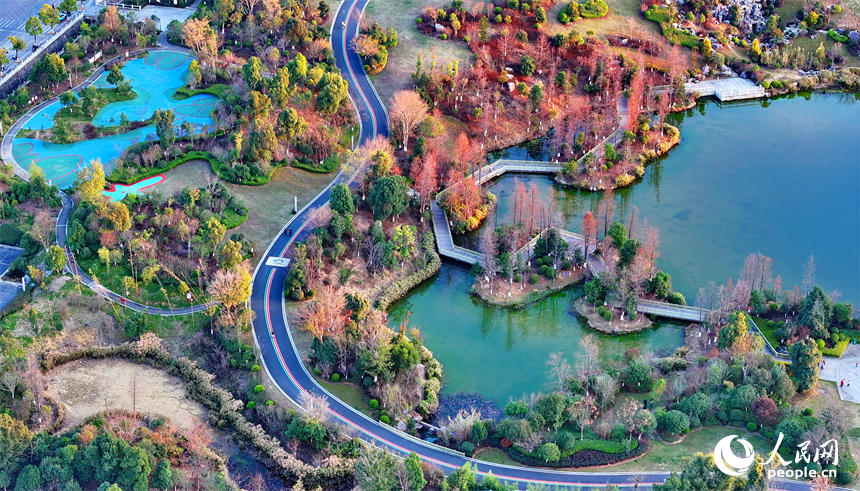 安遠縣書香公園，綠樹、碧水、游步道相映成景，成為市民休閑游玩的好去處。人民網 朱海鵬攝