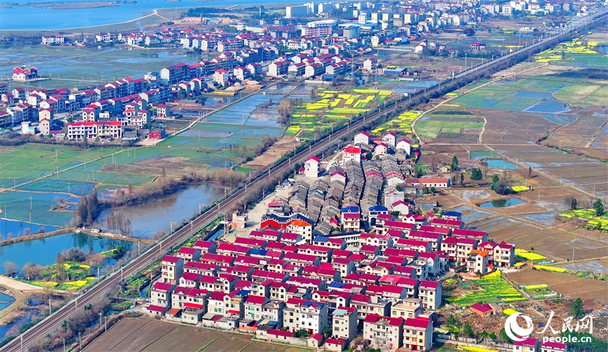 豐城市拖船鎮塘山村，農房、公路、田園、河流相映成景，構成一幅色彩斑斕的早春鄉村畫卷。人民網 朱海鵬攝