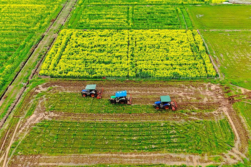 村民利用農機翻耕土地進行春種。姚雨婷攝