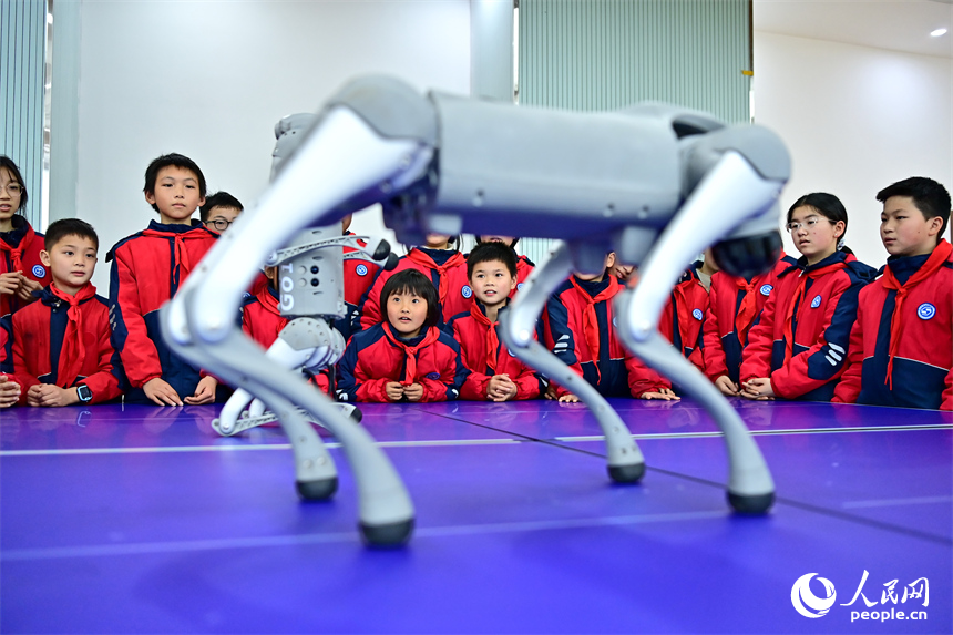 撫州市臨川區第五實驗學校人工智能科技小課堂上，學生在觀看仿生四足機器人表演。人民網 朱海鵬攝