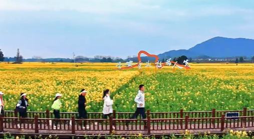 2025安義半程馬拉松賽將開跑