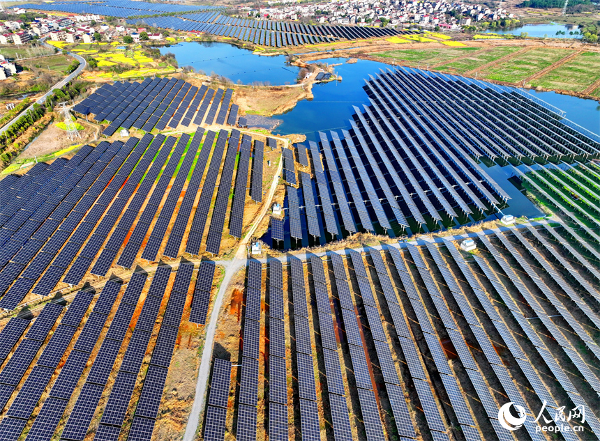 位于豐城市的國家能源集團豐城光伏發電項目泉塘光伏電站，連片的光伏發電板依次排列，熠熠生輝。人民網 朱海鵬攝
