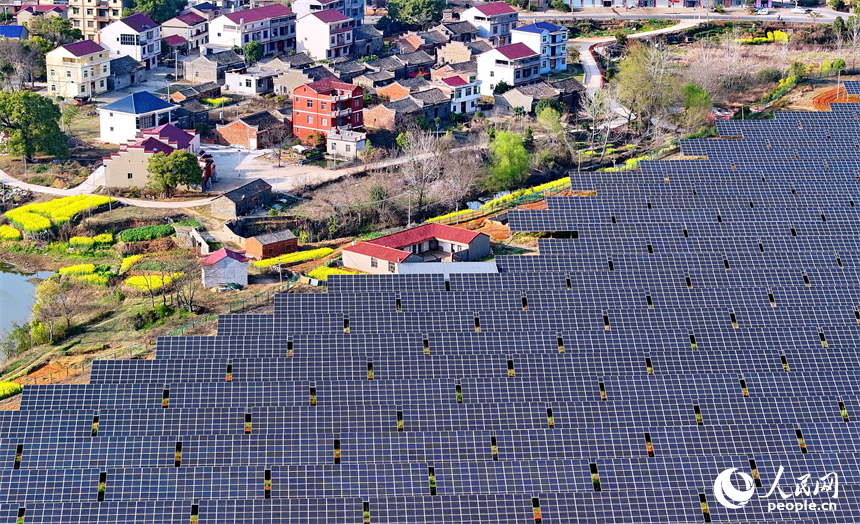 位于豐城市的國家能源集團豐城光伏發電項目泉塘光伏電站，連片的光伏發電板依次排列，熠熠生輝。人民網 朱海鵬攝