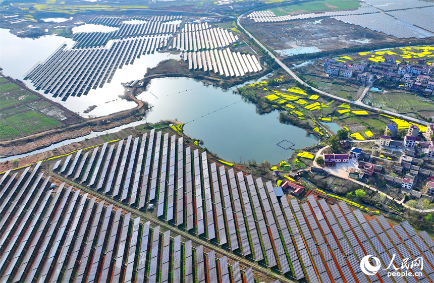 位于豐城市的國家能源集團豐城光伏發電項目泉塘光伏電站，連片的光伏發電板依次排列，熠熠生輝。人民網 朱海鵬攝
