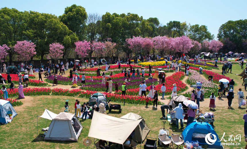 五彩斑斕的花海吸引了眾多市民游客前來拍照打卡，感受春天的氣息。人民網記者 毛思遠攝