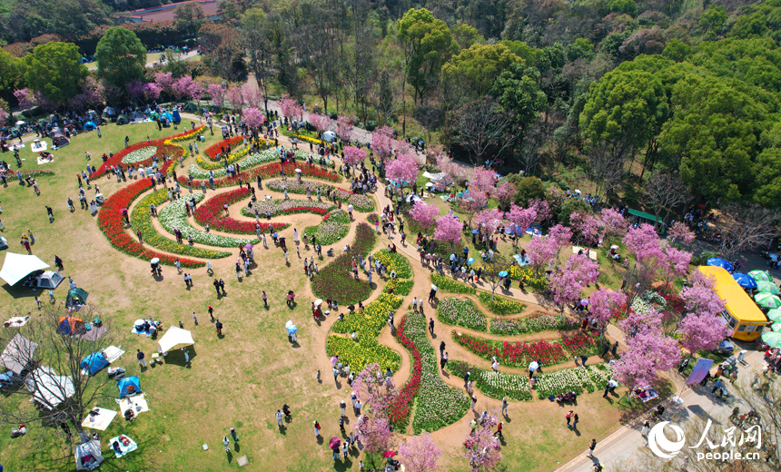 五彩斑斕的花海吸引了眾多市民游客前來拍照打卡，感受春天的氣息。人民網記者 毛思遠攝