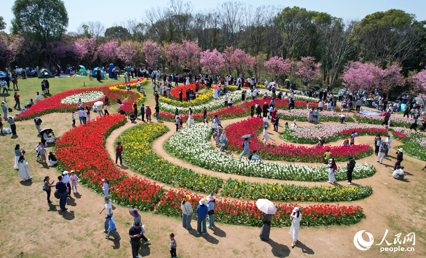 五彩斑斕的花海吸引了眾多市民游客前來拍照打卡，感受春天的氣息。人民網記者 毛思遠攝