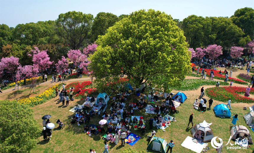 市民紛紛走出家門，投身于大自然的懷抱，感受著春天的氣息和美好。人民網記者 毛思遠攝