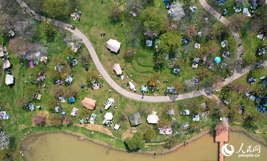 市民紛紛走出家門，投身于大自然的懷抱，感受著春天的氣息和美好。人民網記者 毛思遠攝