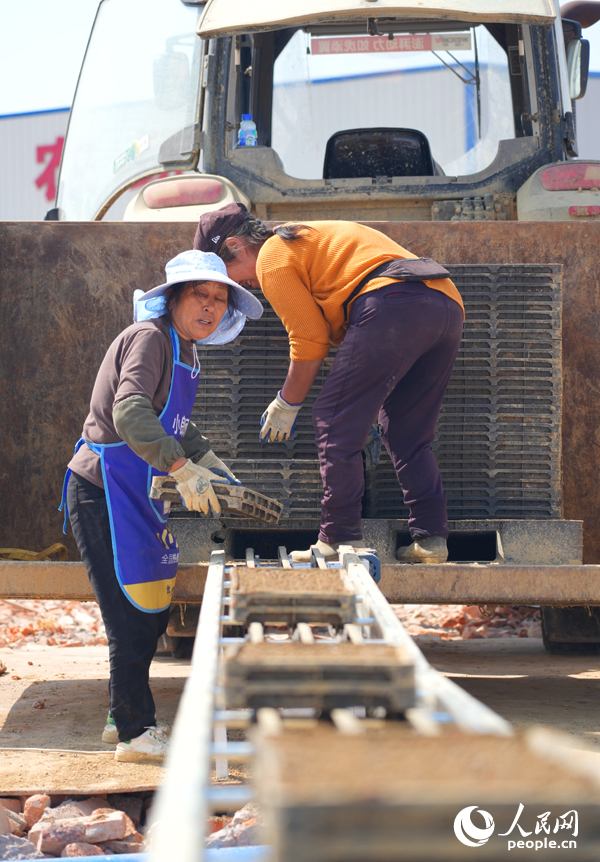 工人將秧盤放上傳送帶。人民網記者 毛思遠攝