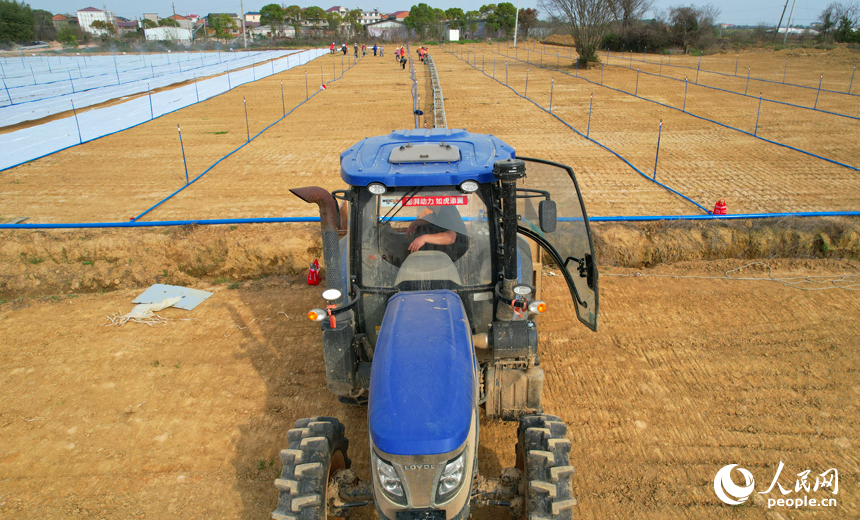 秧盤傳送流水線正在作業。人民網記者 毛思遠攝