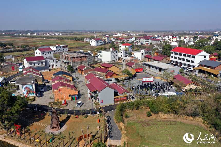 航拍鏡頭下的江西省南昌市紅谷灘流湖鎮魏家村的棕情小鎮。人民網記者 時雨攝