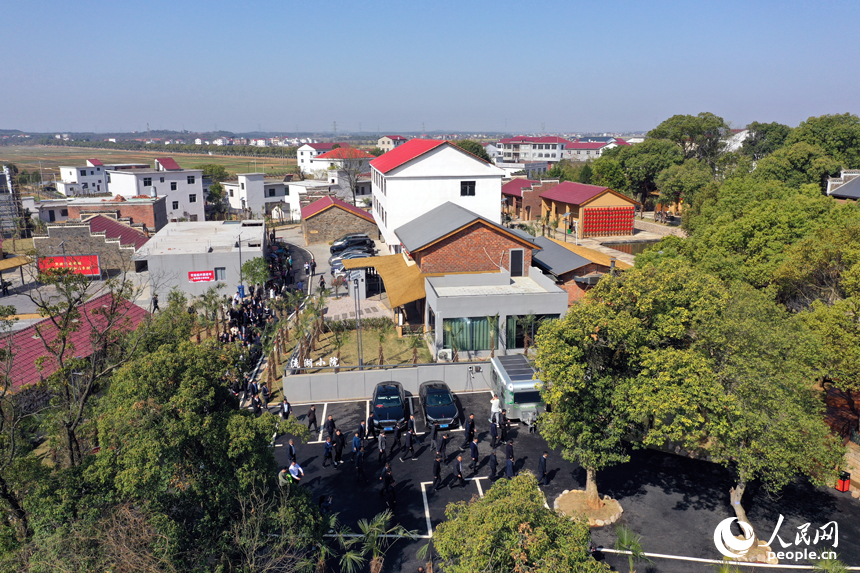 航拍鏡頭下的江西省南昌市紅谷灘流湖鎮魏家村的棕情小鎮。人民網記者 時雨攝