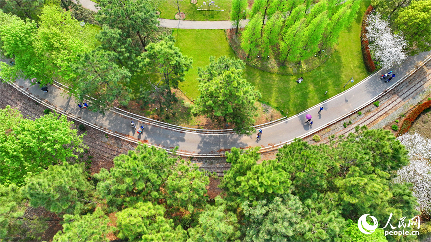 豐城市梅林鎮的一處花卉小鎮，許多游客漫步其中觀賞生態美景，樂享春日時光。人民網 朱海鵬攝