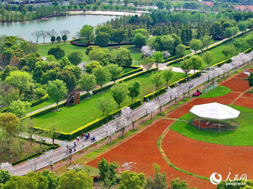 豐城市梅林鎮的一處花卉小鎮，許多游客漫步其中觀賞生態美景，樂享春日時光。人民網 朱海鵬攝
