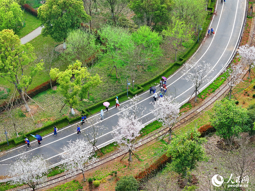 豐城市梅林鎮的一處花卉小鎮，許多游客漫步其中觀賞生態美景，樂享春日時光。人民網 朱海鵬攝