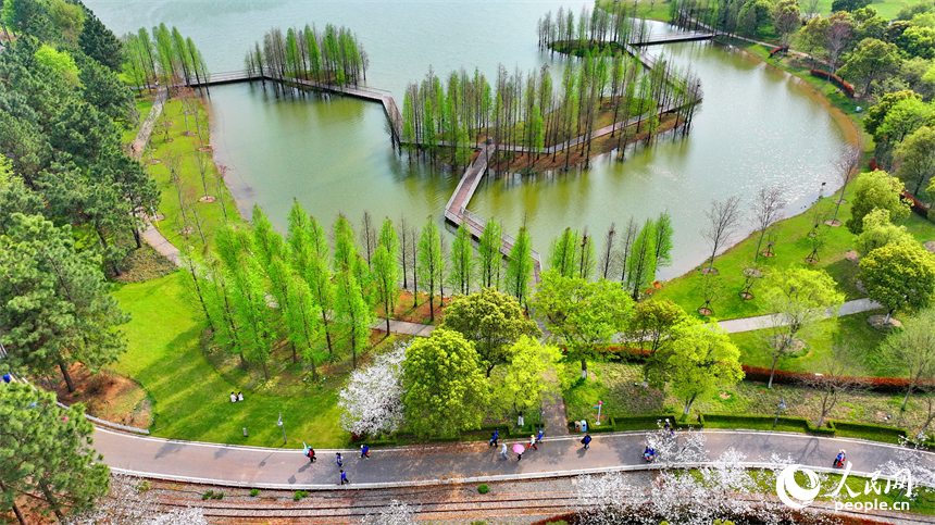 豐城市梅林鎮的一處花卉小鎮，許多游客漫步其中觀賞生態美景，樂享春日時光。人民網 朱海鵬攝