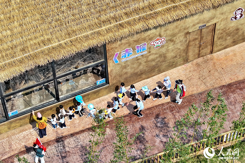 豐城市唯美動物園，許多游客前來觀賞游玩，盡享春日好時光。人民網 朱海鵬攝