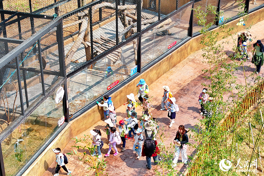 豐城市唯美動物園，許多游客前來觀賞游玩，盡享春日好時光。人民網 朱海鵬攝