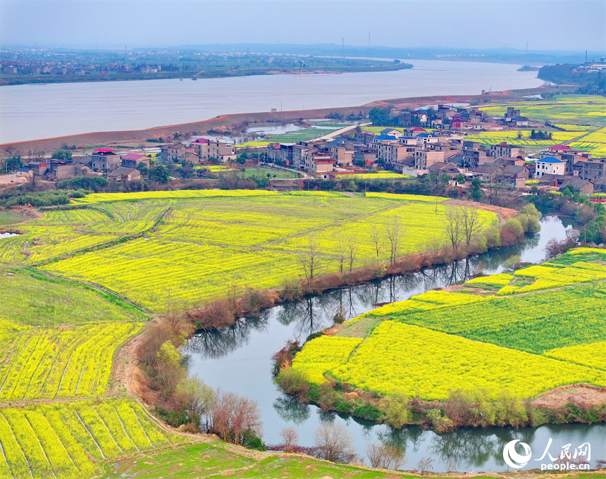 臨川區桐源鄉池溪村，廣袤的農田與彎彎河流相映成景，和美如畫。人民網 朱海鵬攝