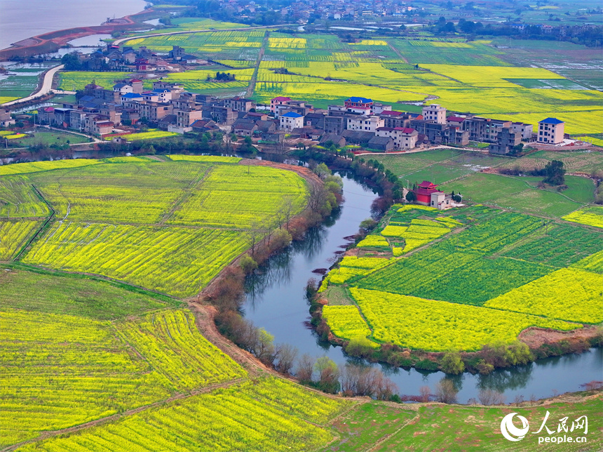 臨川區桐源鄉池溪村，廣袤的農田與彎彎河流相映成景，和美如畫。人民網 朱海鵬攝