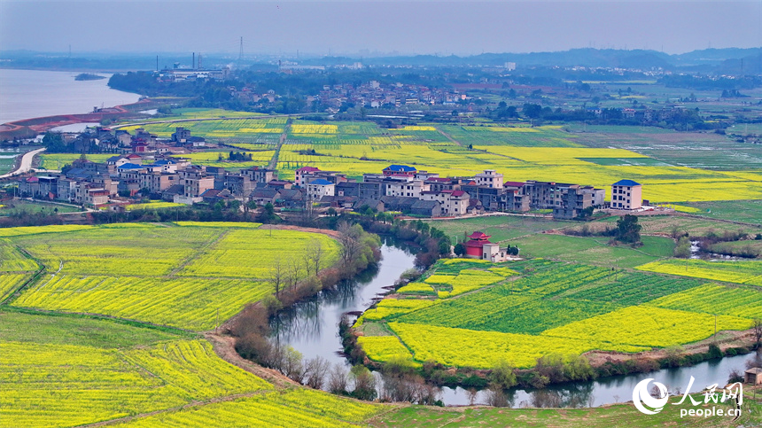 臨川區桐源鄉池溪村，廣袤的農田與彎彎河流相映成景，和美如畫。人民網 朱海鵬攝