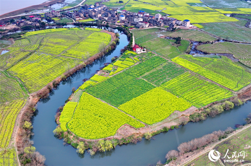 臨川區桐源鄉池溪村，廣袤的農田與彎彎河流相映成景，和美如畫。人民網 朱海鵬攝