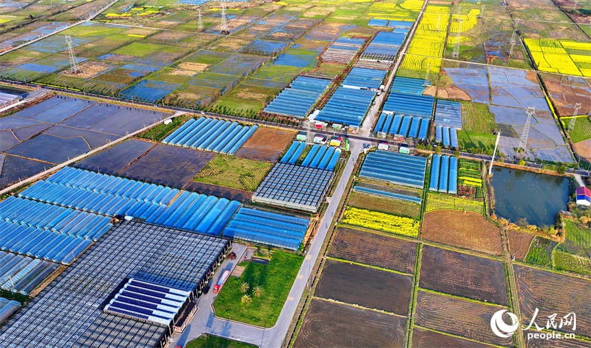上饒市弋陽縣葛溪鄉繆家村，鱗次櫛比的蔬菜大棚與色彩斑斕的農田相映成景。人民網 朱海鵬攝