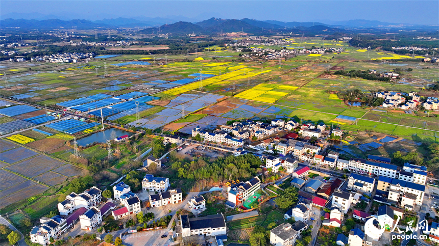 上饒市弋陽縣葛溪鄉繆家村，鱗次櫛比的蔬菜大棚與色彩斑斕的農田相映成景。人民網 朱海鵬攝